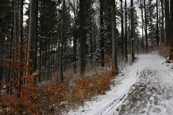 20050211_MoniteursJS_Divers_MCarnal_0002