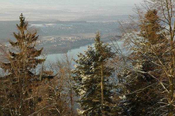 20050211_MoniteursJS_Divers_MCarnal_0010