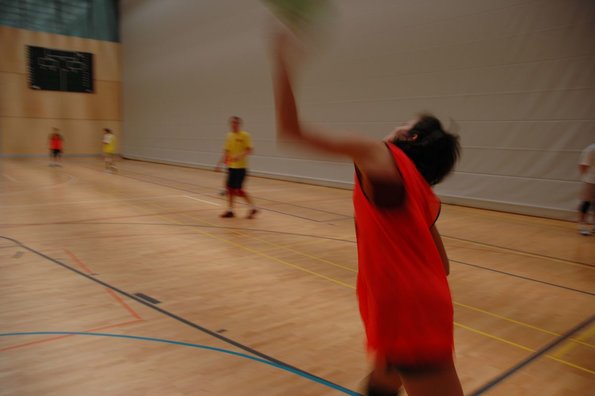 20050211_MoniteursJS_LaPratique_MCarnal_0002