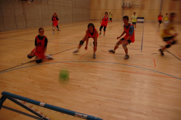 20050211_MoniteursJS_LaPratique_MCarnal_0006