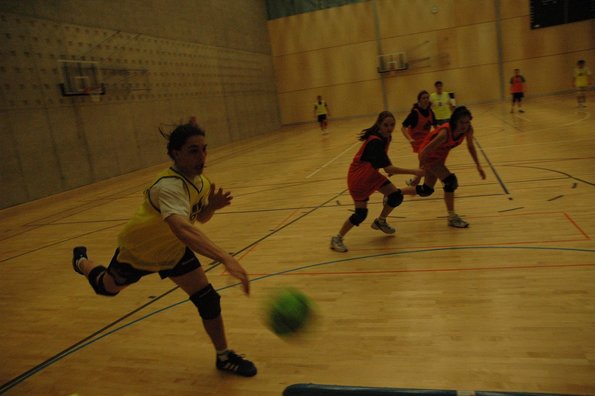 20050211_MoniteursJS_LaPratique_MCarnal_0012