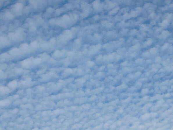 20050604_TournoiLSJuniors_LPittet_0040