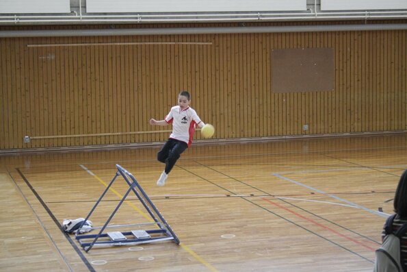 20060305_JourneeLemaniqueGE_LPittet_0035