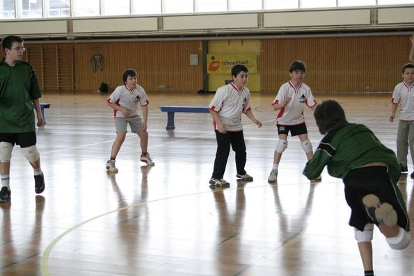 20060305_JourneeLemaniqueGE_LPittet_0066