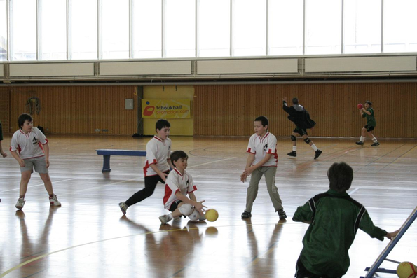 20060305_JourneeLemaniqueGE_LPittet_0069