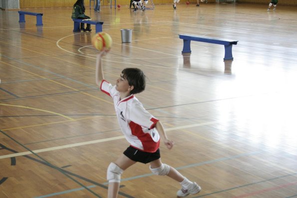 20060305_JourneeLemaniqueGE_LPittet_0122