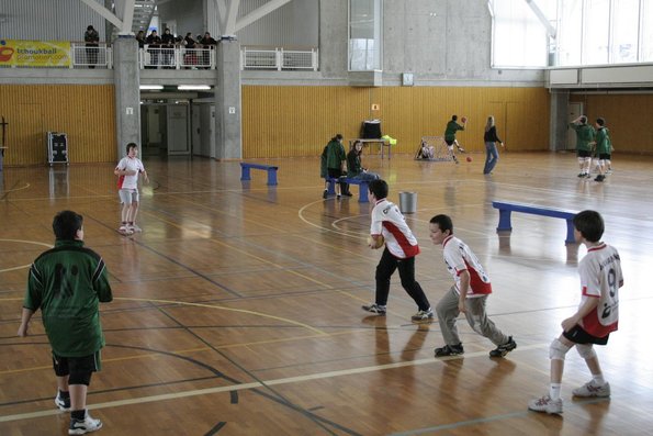 20060305_JourneeLemaniqueGE_LPittet_0130