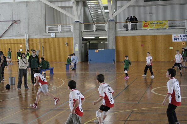 20060305_JourneeLemaniqueGE_LPittet_0135