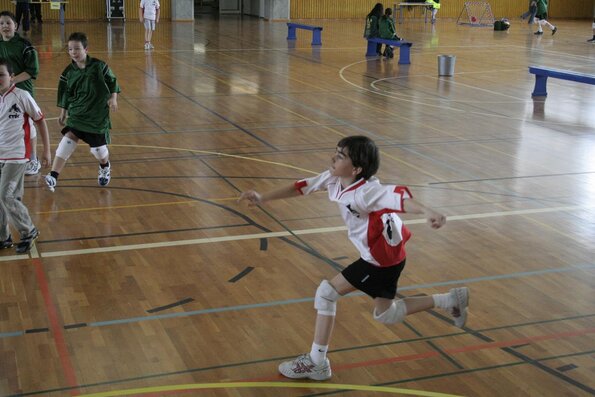 20060305_JourneeLemaniqueGE_LPittet_0138