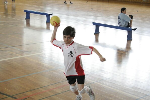 20060305_JourneeLemaniqueGE_LPittet_0143