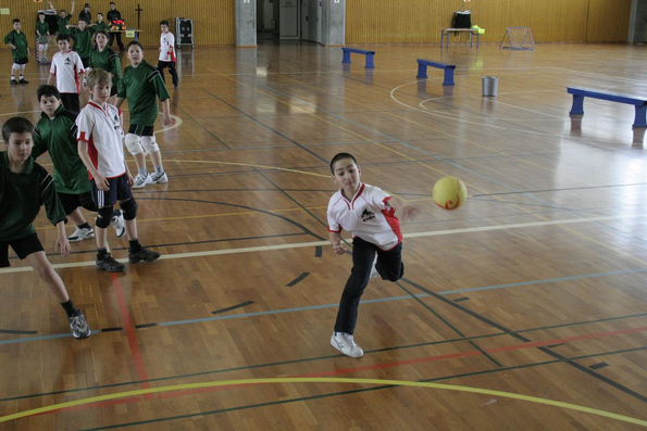 20060305_JourneeLemaniqueGE_LPittet_0154