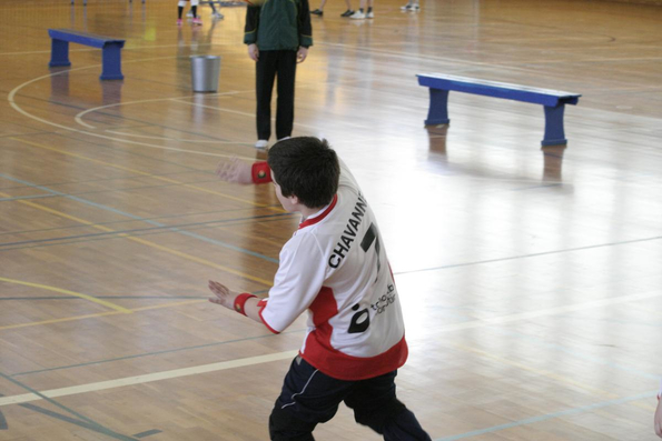 20060305_JourneeLemaniqueGE_LPittet_0164