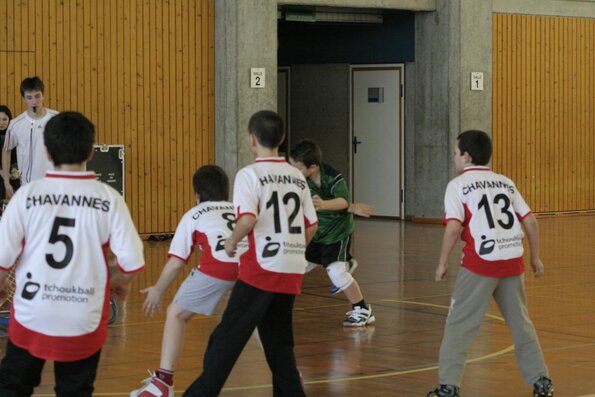 20060305_JourneeLemaniqueGE_LPittet_0196