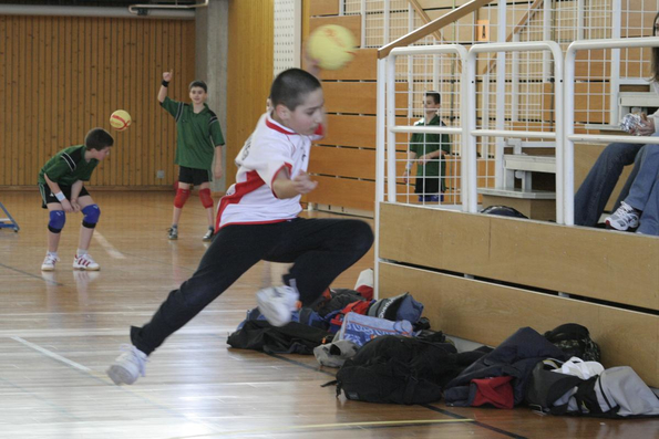 20060305_JourneeLemaniqueGE_LPittet_0210