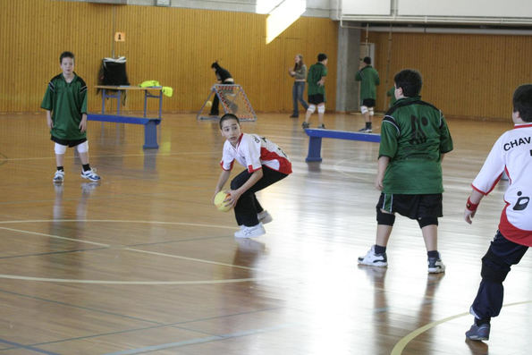 20060305_JourneeLemaniqueGE_LPittet_0215