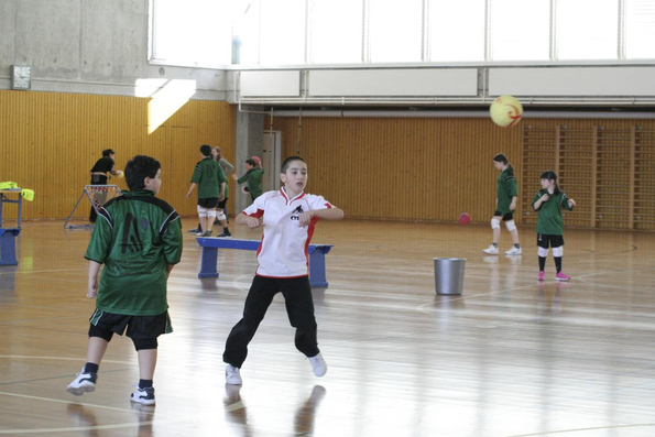 20060305_JourneeLemaniqueGE_LPittet_0216