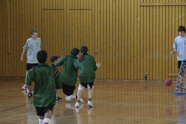 20060305_JourneeLemaniqueGE_LPittet_0233