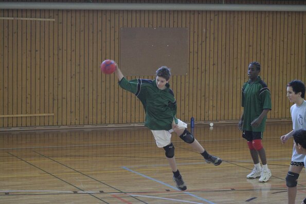 20060305_JourneeLemaniqueGE_LPittet_0242