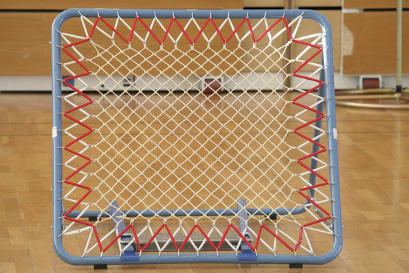 20060305_JourneeLemaniqueGE_LPittet_0266