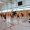 20090221_EWC_laus1-gnv1_LFrelechoux_0025