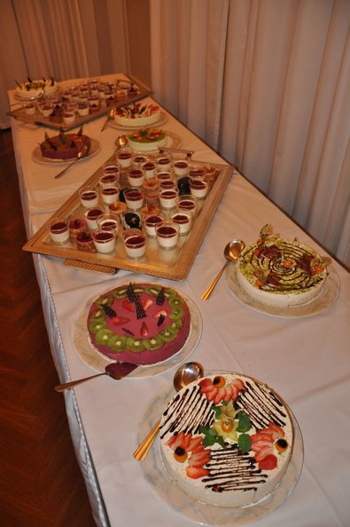 20090221_EWC_gala_GSieber_0002